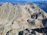 Il morelli dalla cima