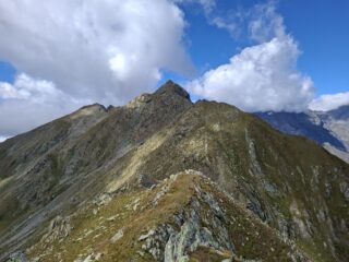 Lunella dalla cima