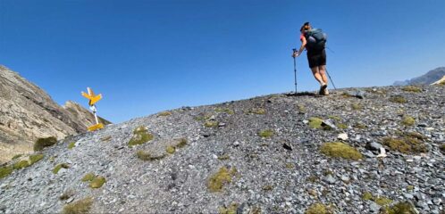 al colle