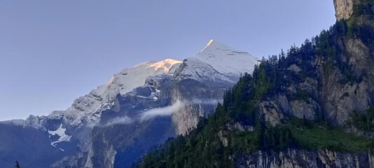 alba