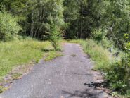 Strada abbandonata verso Cataeggio