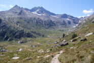 Sul sentiero 12 si entra nel Vallone di Bardoney 