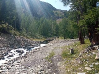 Ponte sul Rio Grava dove si svolta per il bosco