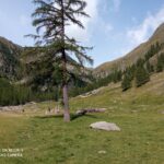 i pascoli aperti di malga Grava