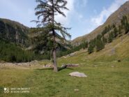 i pascoli aperti di malga Grava