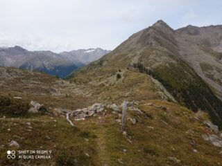 da questo palo con bollo b/r si lascia il sentiero e si svolta verso la cima