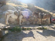 incontri.......al rifugio