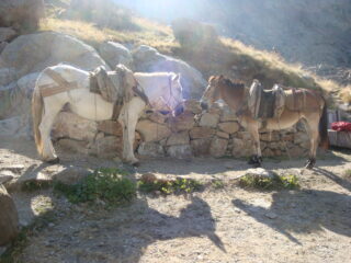 incontri.......al rifugio