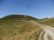 Colle dei Termini con cima omonima