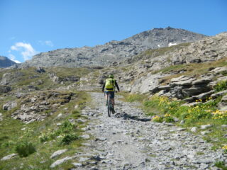 in vista del Monte Malamot