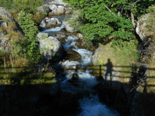 Il buongiorno si vede dal mattino