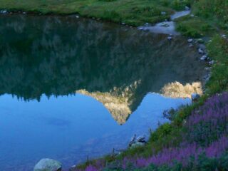 Laus di San Bernolfo