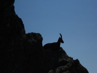 Un bel posto per riposarsi