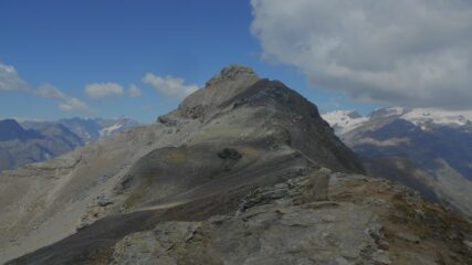 La Testa Grigia dal M. Pinter