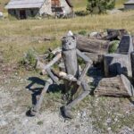 Chalets des Acles