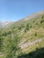 Sentiero a mezzacosta 13