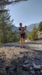 Portage del Dog