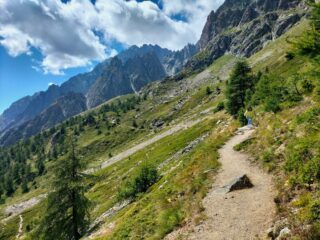 oplus_2