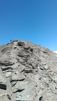 Abbiamo disturbato un camoscio in vetta