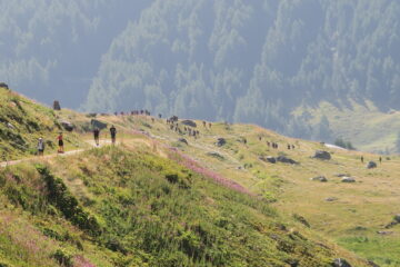 affollamento alla Grand Alpe