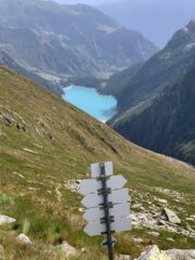 dal Passo