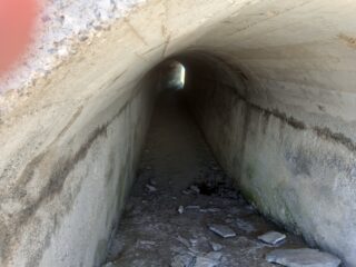 la bella galleria in ottime condizioni