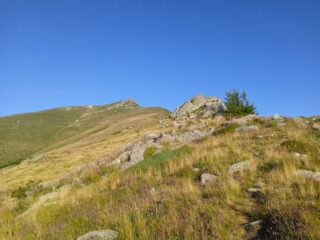 Salita verso il Pizzo d' Ormea 