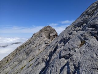 Le placche sotto cresta per la Punta Tino Prato 