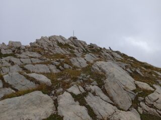 Cima Palù (m.2538)