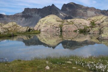 Uno dei Morgon mediani