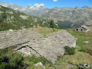 Gias Nuovo