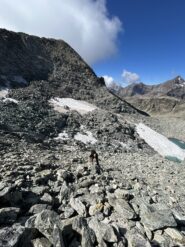 Attenzione a cosa si muove