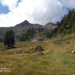 Sardutspitze vista arrivando alla malga