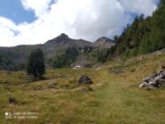 Sardutspitze vista arrivando alla malga
