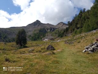 Sardutspitze vista arrivando alla malga