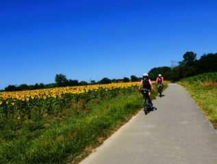 Lunghi tratti accompagnati dai girasoli