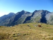 Ambiente bucolico appena sopra le Grange Arietta.