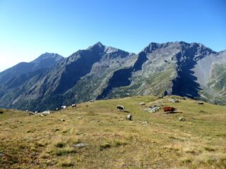 Ambiente bucolico appena sopra le Grange Arietta.