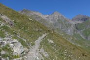 Quasi al rifugio