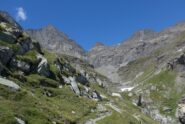 Verso il torrente