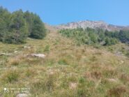 Fuori dal bosco, il pendio erboso da risalire