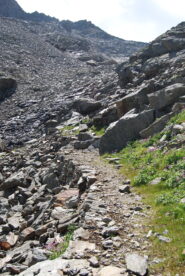 Resti dell’antica mulattiera lastricata salendo al Col Bardoney, dopo il bivio per il Colle dell’Arolla