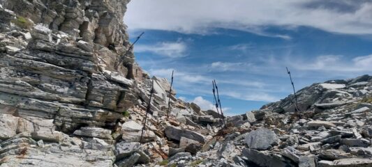 Vecchi reticolati verso la punta