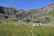 Wysse Bode e cascata