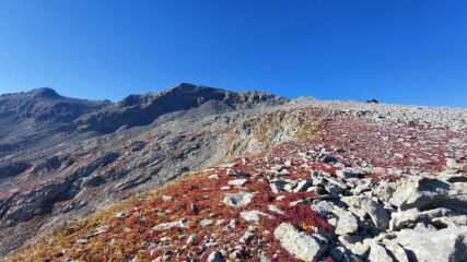 dopo la prima pietraia - è ancora molto lunga