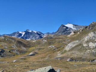 cima del carro e punta basey