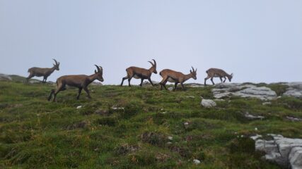 In cresta Centenere