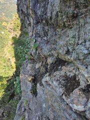 La stessa zona della foto precedente ora ben disgaggiata