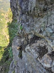 La stessa zona della foto precedente ora ben disgaggiata