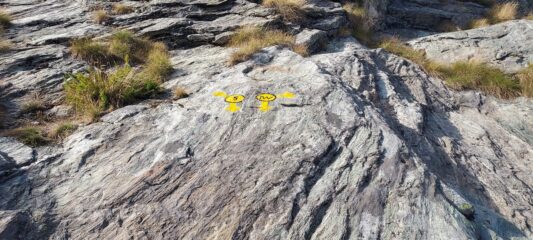 Bivio all'alpe Valnera inf.